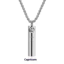 Capricorn Single Pendant