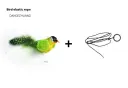 Green Elastic String