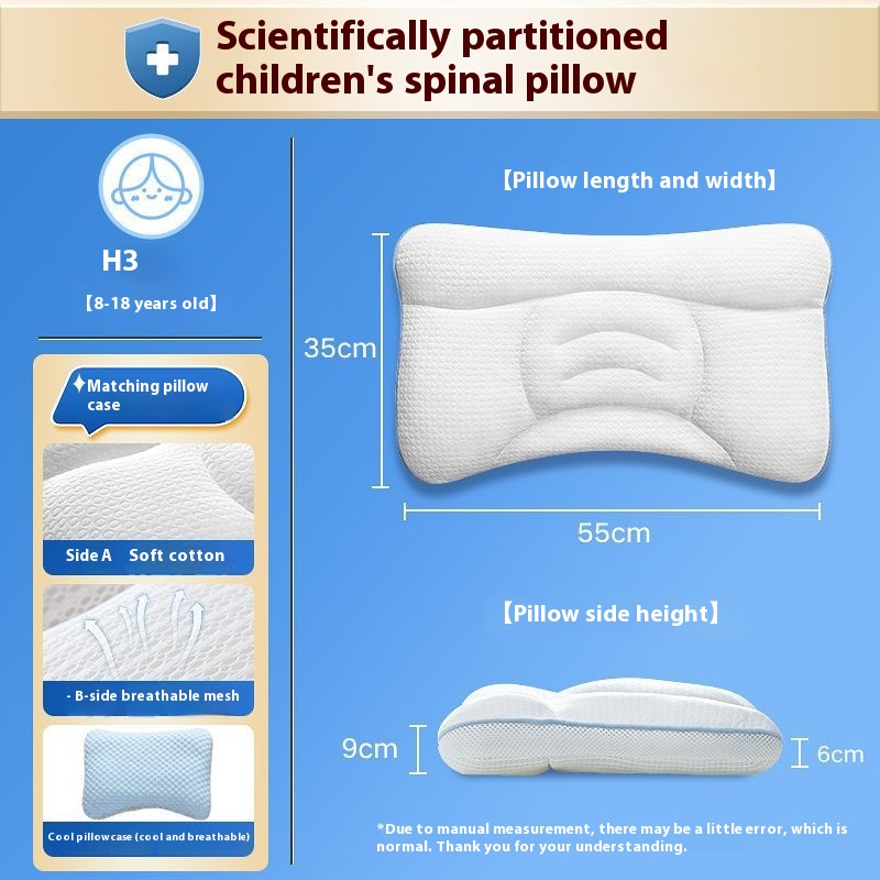 Pillow And Cover H3 Section