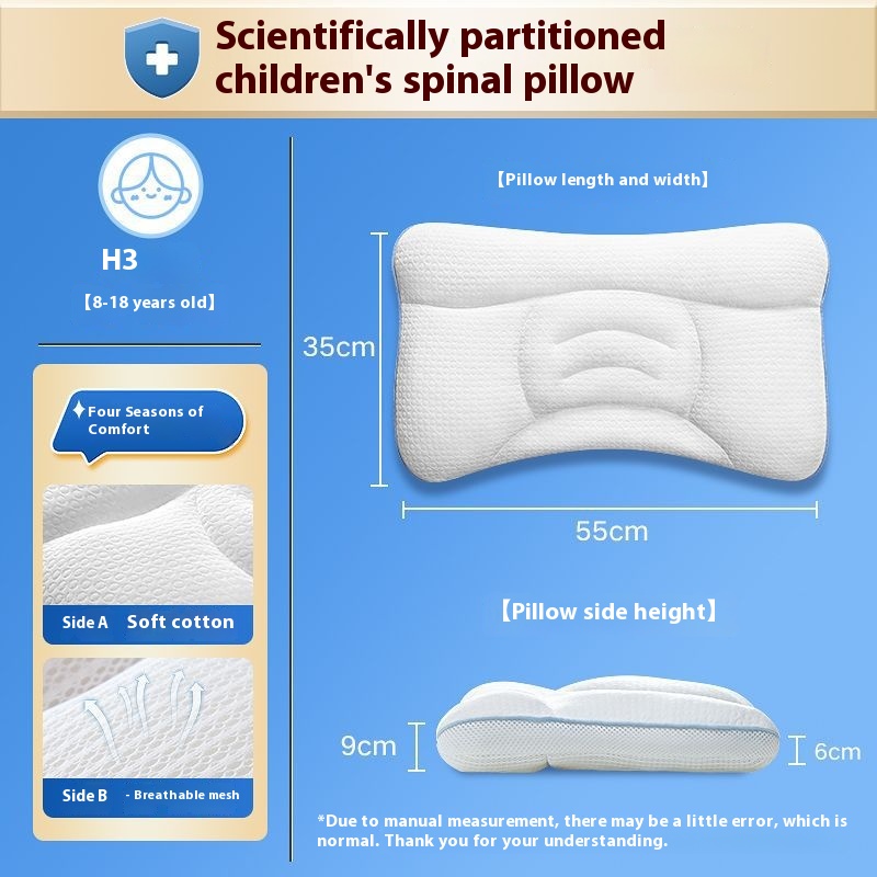 Spine Pillow H3 Section