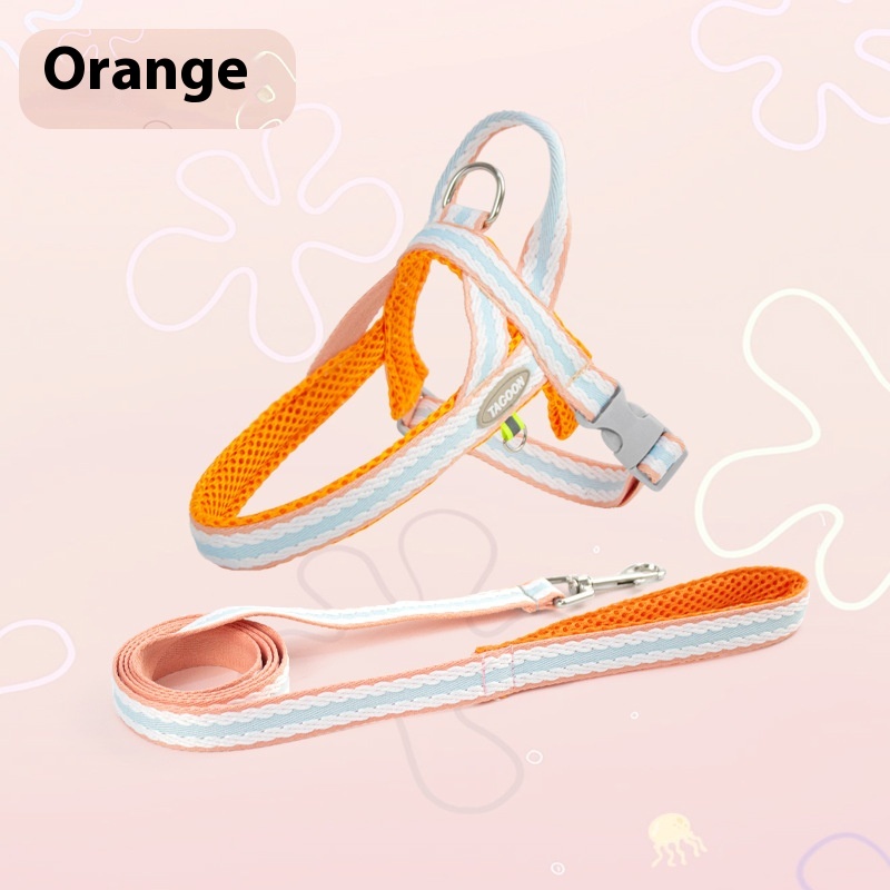 Coral Orange