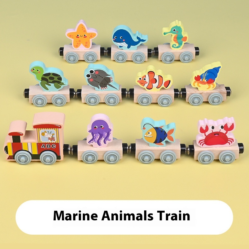 Ocean Train