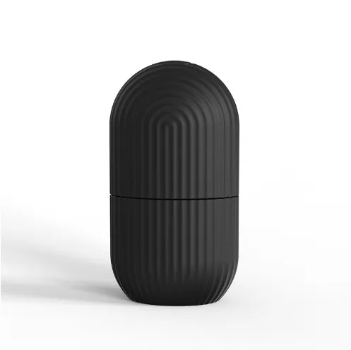Apply Face Ice Tray Shell Pattern Facial Edema Massage Ice Tray Beauty Supplies Black - Shop at LoveMi