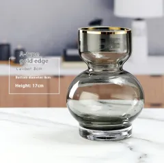 Simple And Creative Gold Edged Small Mouth Single Bundle Glass Vase - Astyle Large Gray - View 1