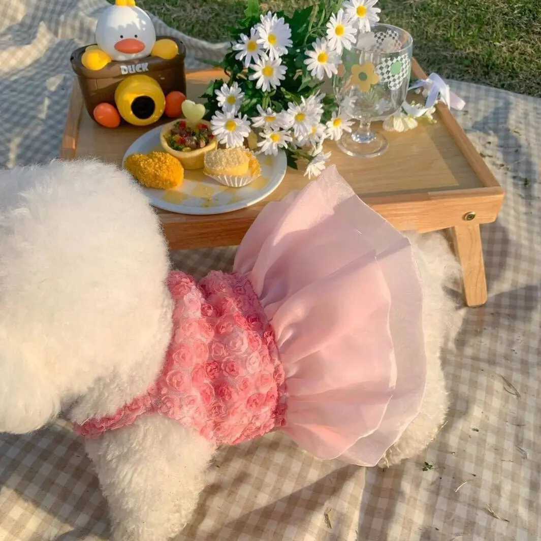 Spring And Summer Fashion Pet Dress