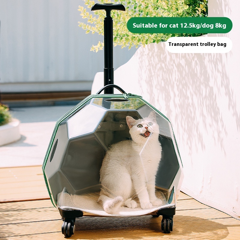 Pet Transparent Trolley Case