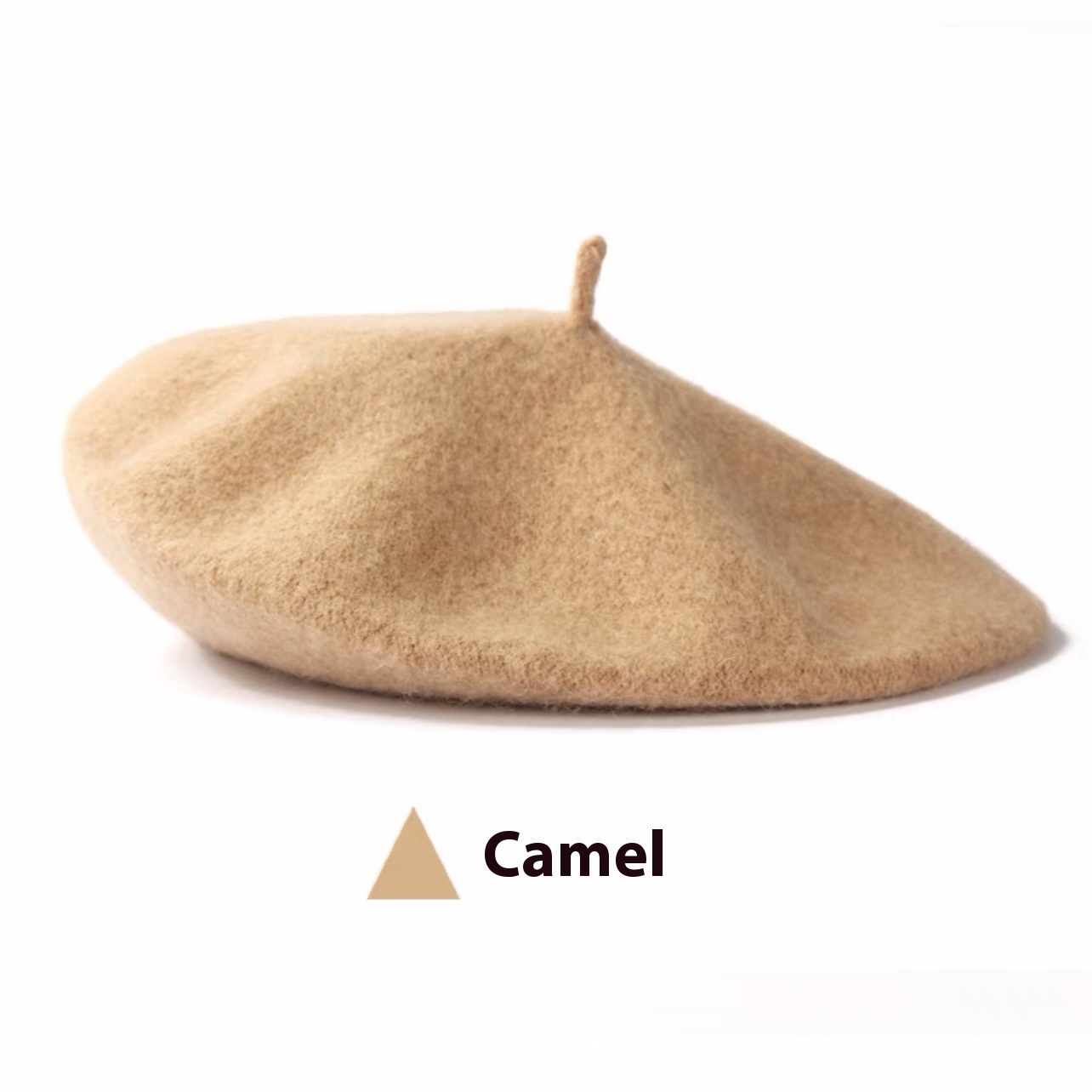 Camel