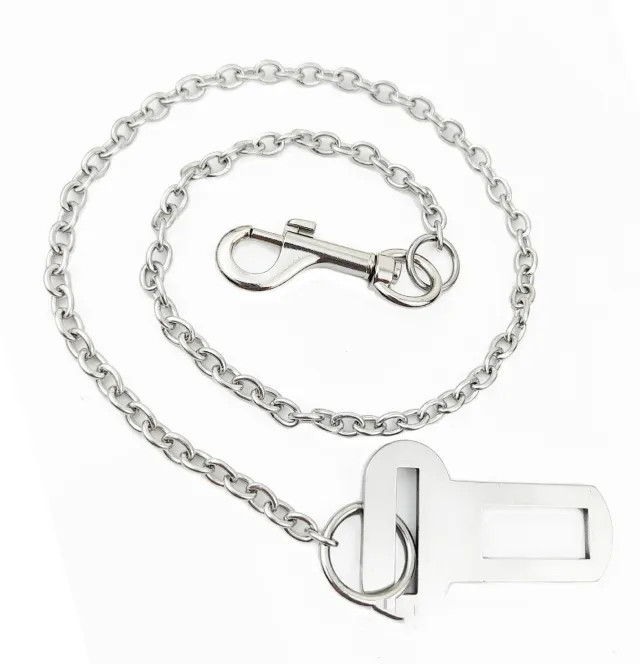 Stainless Steel Small Chain Puppy Car Safety Rope Steel Color Cross Chain - Shop at LoveMi