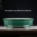 Round Waist Green