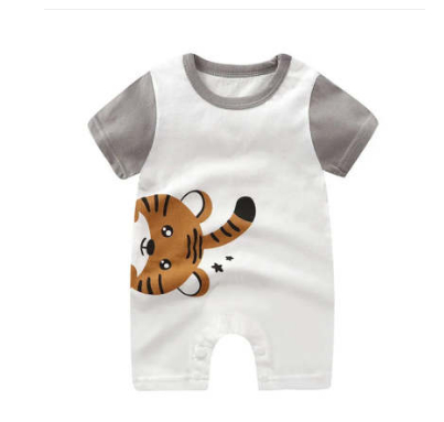 Gray Little Tiger