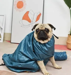 Automatic Drying Bag With Quick Drying Hair Dryer For Bathing Blue - Shop at LoveMi
