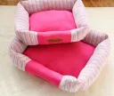 Color Stripes Pink
