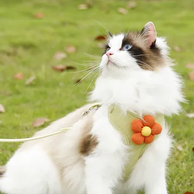 Pet Flower Hand Holding Rope Vest Chest Back