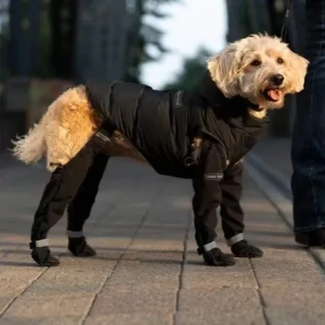 Elastic Belt with Reflective Pet Shoes Waterproof
