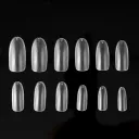 504Pcs Oval Nail Tip Frosted