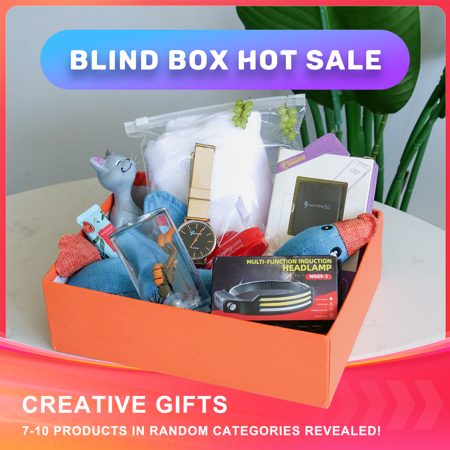 Hot Blind Box Sale.