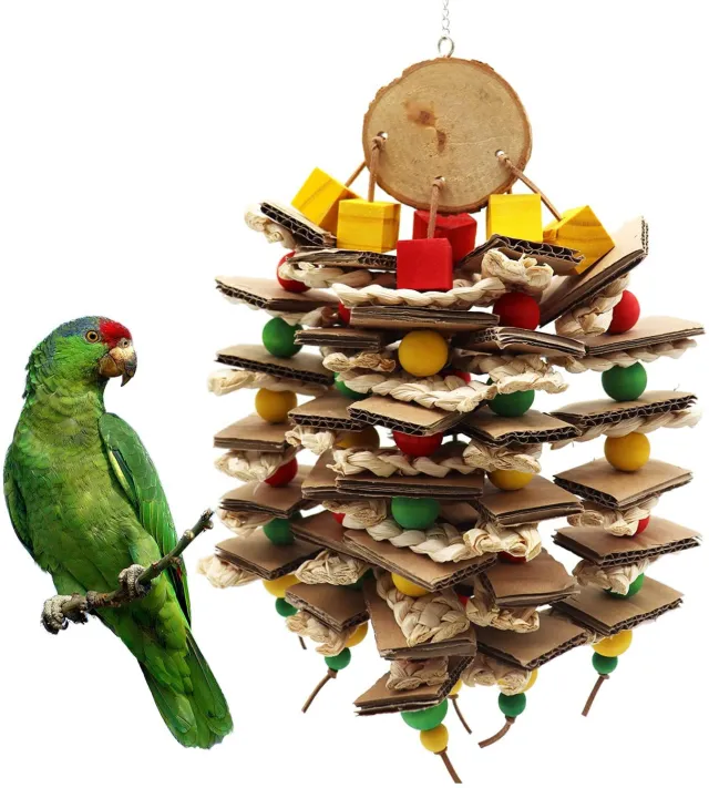Parrot Logs Gnawing On Corn Husks And Skewers Image Color - Shop at LoveMi
