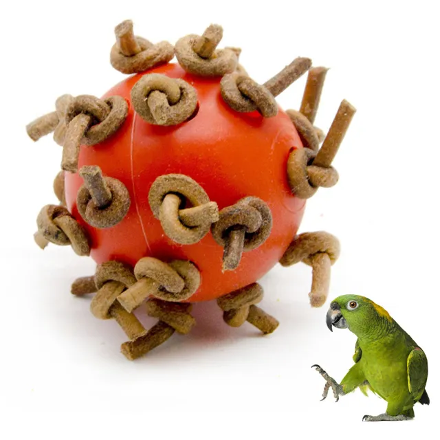 Parrot Plastic Interactive Chewing Ball Orange - Shop at LoveMi