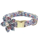 Collar B Light Blue