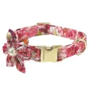 Collar B Rose Red