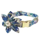 Collar B Sky Blue