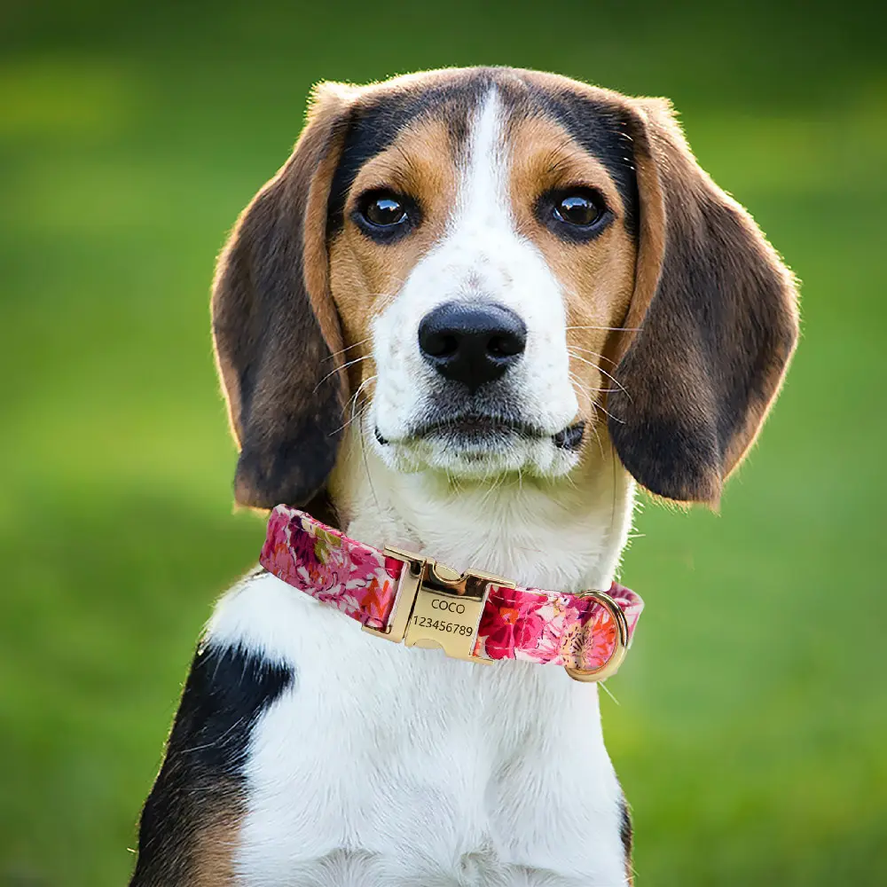 Pet Lettering Collar Metal Floral Hand Holding