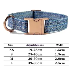 Dog Leash With Engraved Lettering And Anti Lost Collar - Blue Collar - View 1