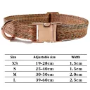Orange Collar