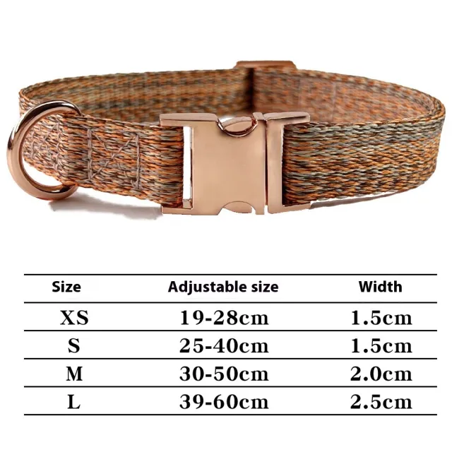 Dog Leash With Engraved Lettering And Anti Lost Collar Orange Collar - Shop at LoveMi