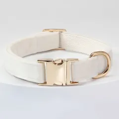 Dog Collar With Engraved Lettering, Anti Loss Collar, Large Dog Leash - White Collar - View 1