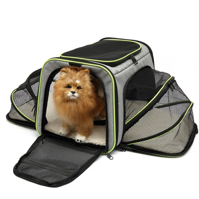 Cat Bag Large Capacity Portable Gray Green Edge - Shop at LoveMi