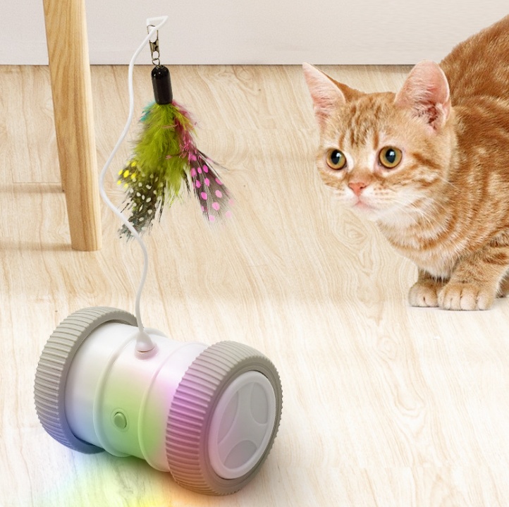 Cat Teaser 2