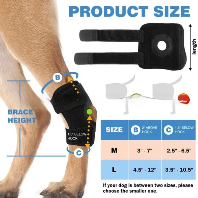 Pet Dog Leg Guard Joint Knee Pad ACL Ligament Tear Auxiliary Rehabilitation Cat Joint Dislocation Protection Black Single - Shop at LoveMi