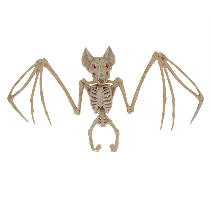 Bat Skeleton