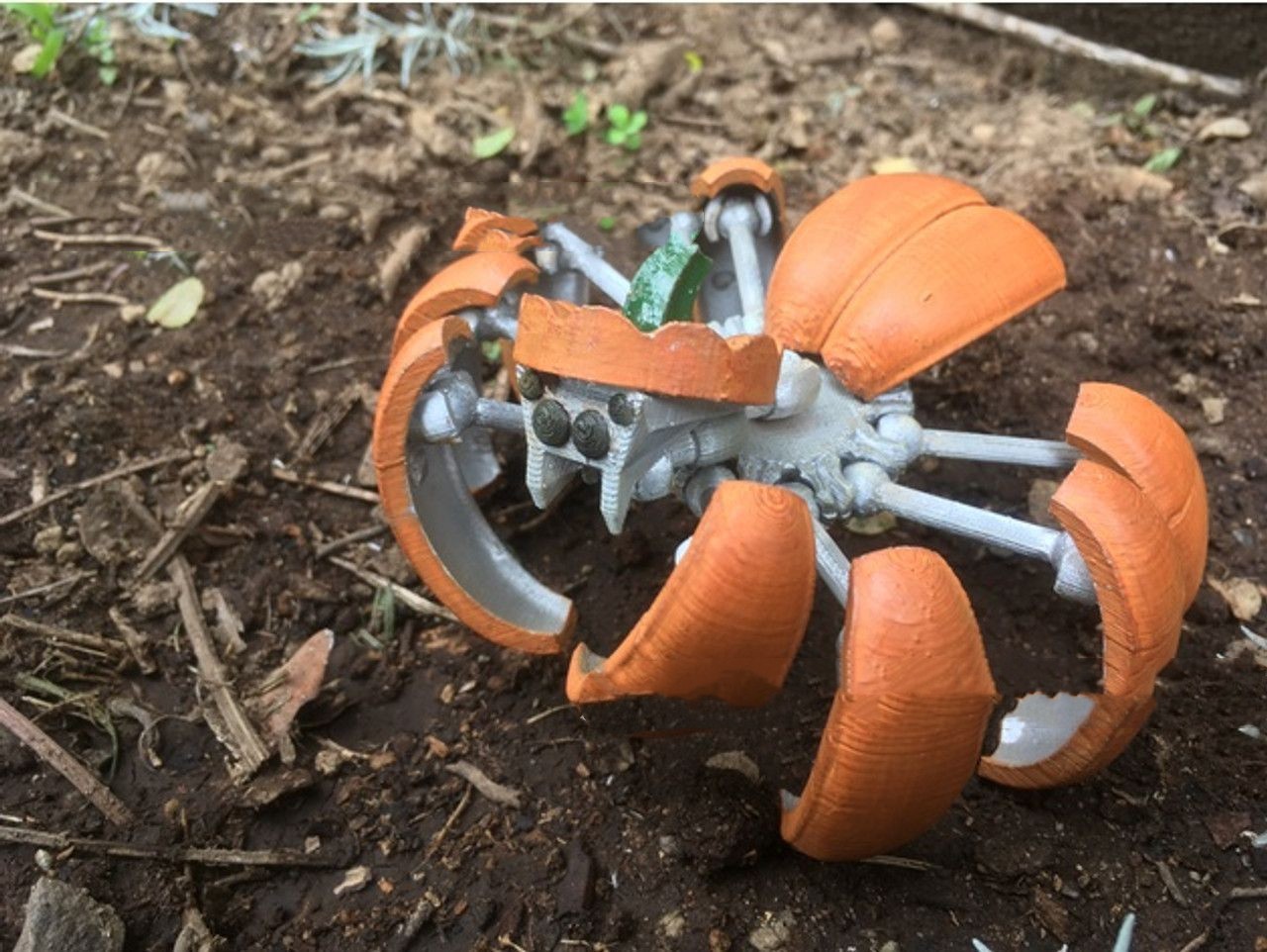 Orange