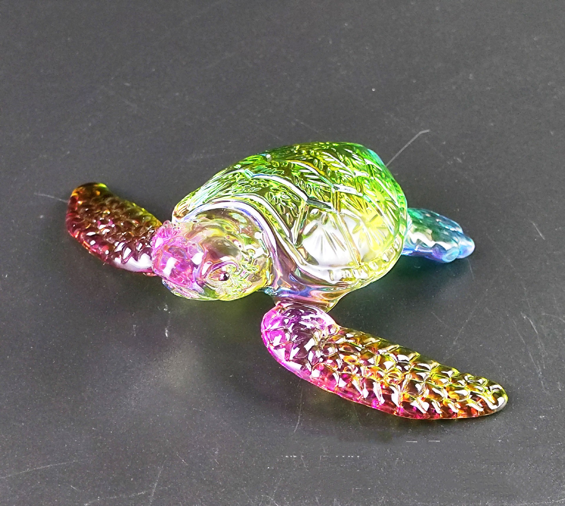 Sea Turtle Color