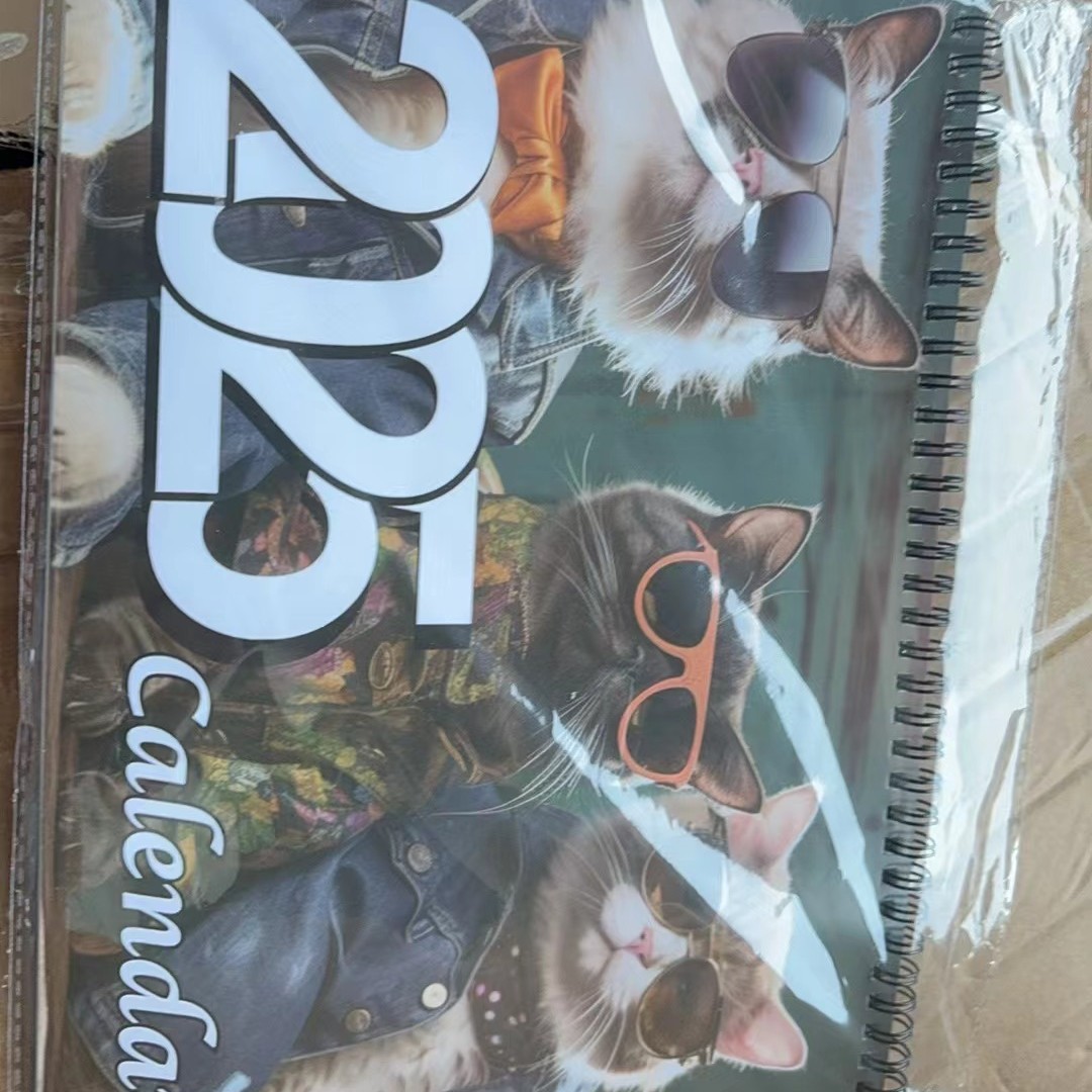 Title 5, Creative Home 2025 Fashion Cat Calendar