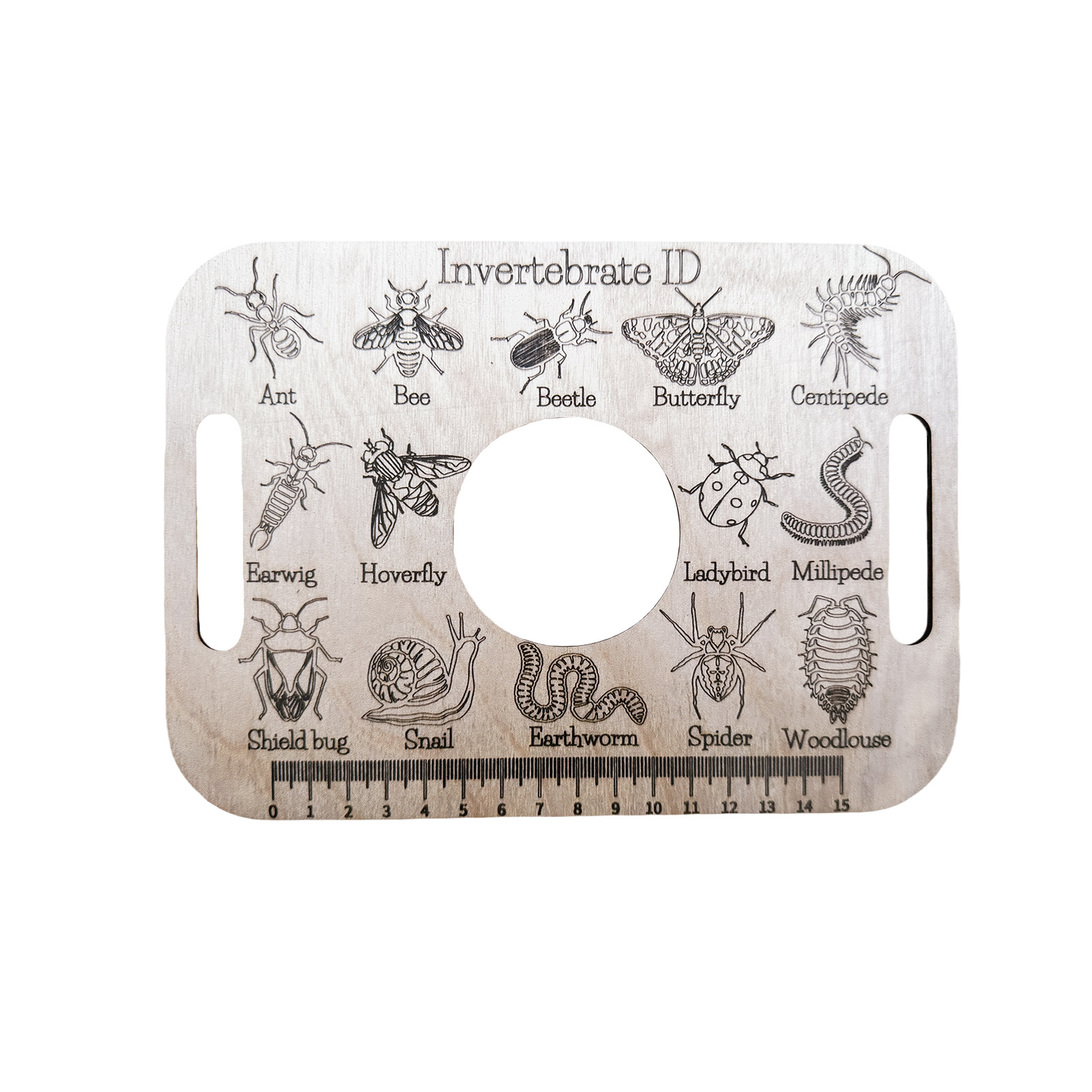 Title 3, Encyclopedia Bug Identification Crafts Ruler