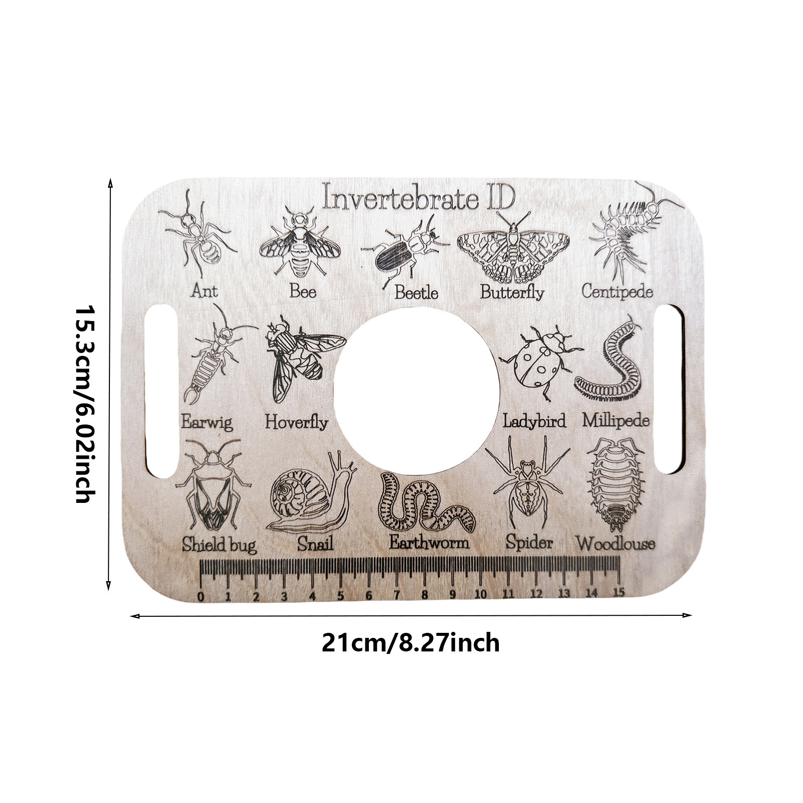 Title 1, Encyclopedia Bug Identification Crafts Ruler