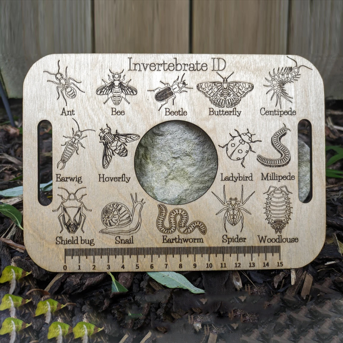 Title 6, Encyclopedia Bug Identification Crafts Ruler