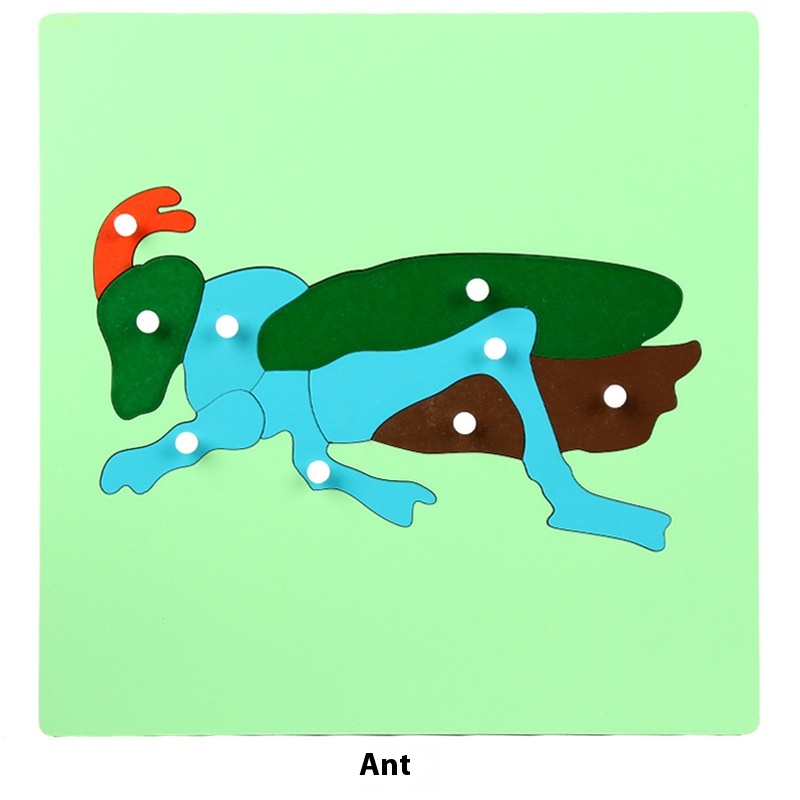 Ant Panel