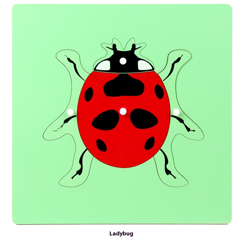 Ladybug Panel