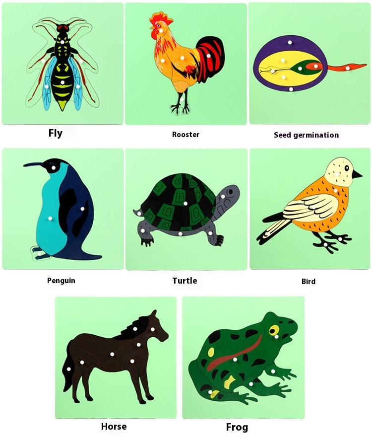 Title 2, Eight Panel Puzzle Of Animals And Plants For Ea...