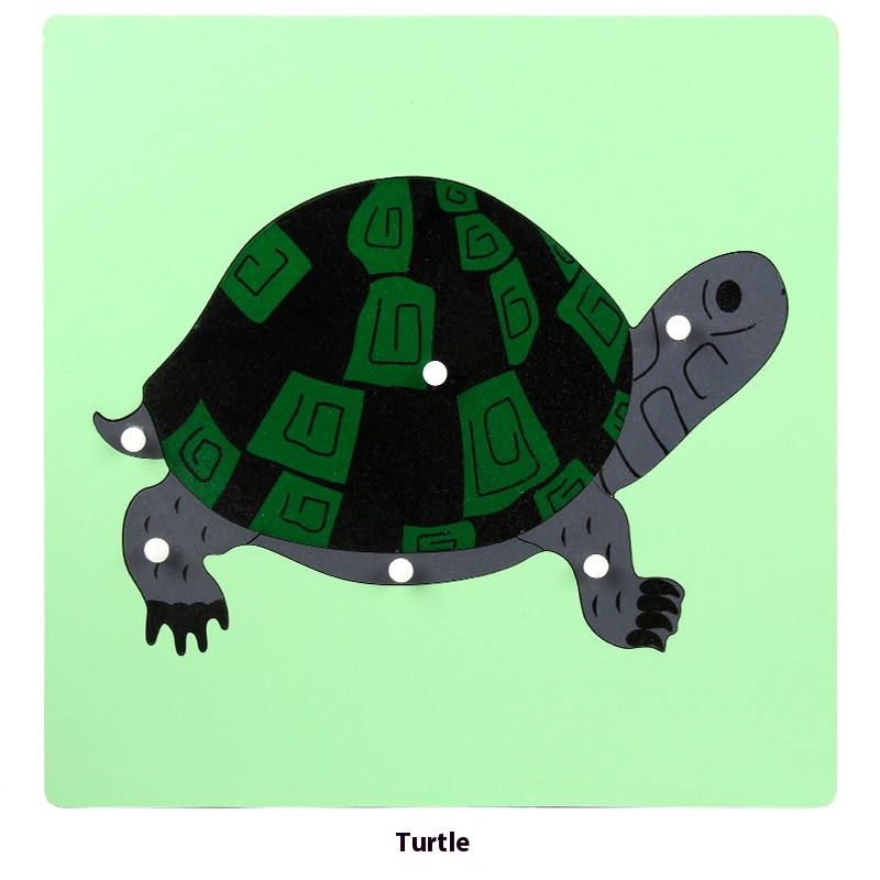 Turtle Panel