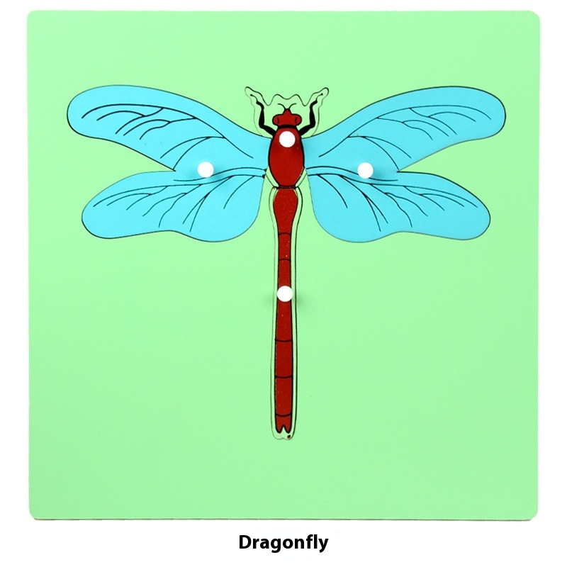 Dragonfly Panel