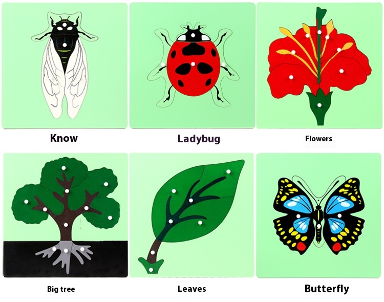 Title 10, Eight Panel Puzzle Of Animals And Plants For Ea...