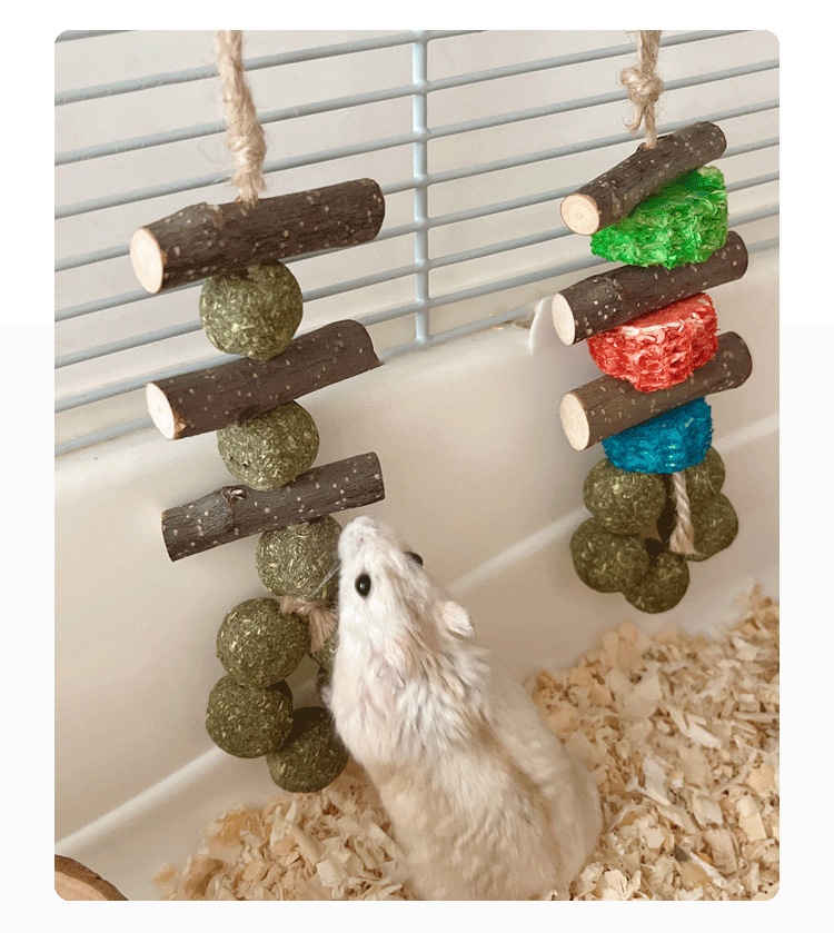 Title 5, Hamster Guinea Pig Rabbit Snack Bite Toy