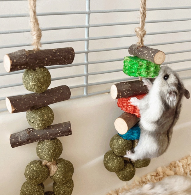 Title 6, Hamster Guinea Pig Rabbit Snack Bite Toy