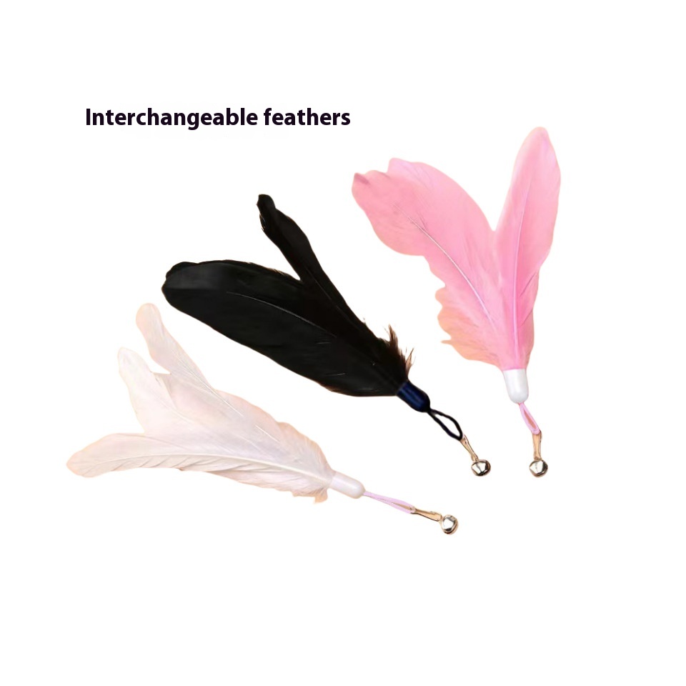 Feather Random Color