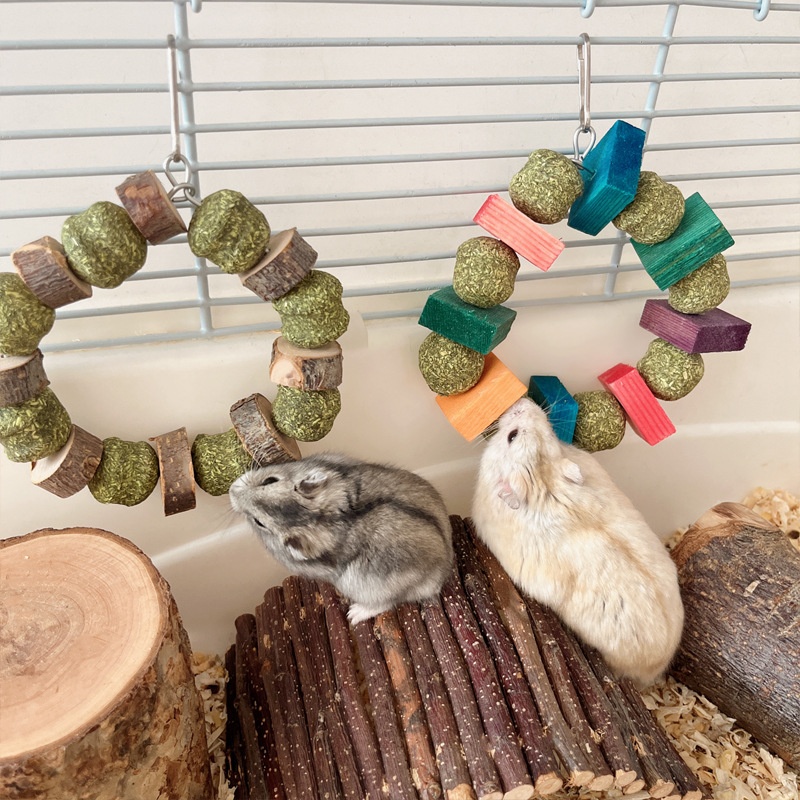 Hamster Toy Guinea Pig Rabbit Snack Totoro Molar Bite Toy Decorative Ring Straw Ball Applewood Molar Rod